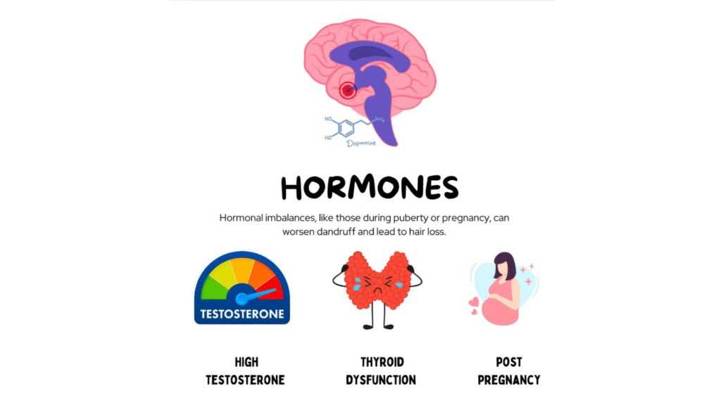 What Causes  Hair-fall - details