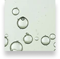 Salicylic Acid