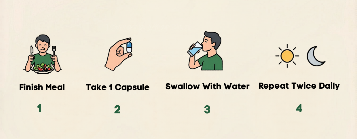 How to use instruction